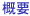 概要
